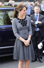 KATE MIDDLETON at Islington Town Hall Chance UK