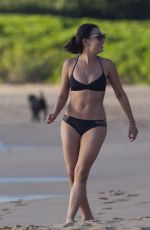 JANEL PARRISH in Bikini at a Beach in Hawaii 10/14/2015