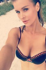 JOANNA KRUPA in Bikini at a Beach in Miami 10/09/2015