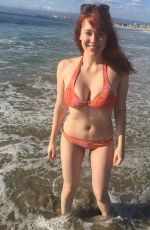 MAITLAND WARD in Bikini on the Beach in Marina Del Rey 10/21/2015