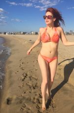 MAITLAND WARD in Bikini on the Beach in Marina Del Rey 10/21/2015