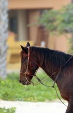 NICOLE RICHIE at Horseback Ridinig at a Beaches in Los Cabos 10/17/2015