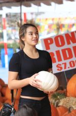 PARIS BERELC at a Pumpkin Patch in Los Angeles 10/16/2015