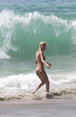 TARA REID in Bikini at a Beach in Malibu 09/27/2015