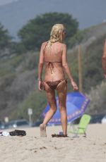 TARA REID in Bikini at a Beach in Malibu 09/27/2015