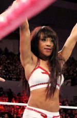WWE - aw Digitals 10/26/2015