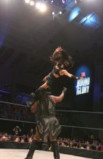 WWE - Bound For Glory 2015 Digitals