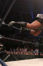 WWE - Bound For Glory 2015 Digitals