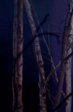 WWE - Deadman Divas Photoshoot