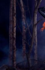WWE - Deadman Divas Photoshoot