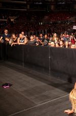 WWE - Hell In A Cell 2015 Digitals