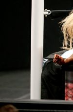 WWE - Hell In A Cell 2015 Digitals