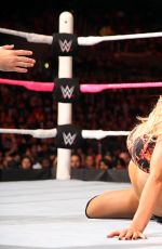 WWE - Hell In A Cell 2015 Digitals