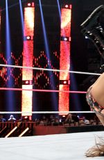 WWE - Hell In A Cell 2015 Digitals