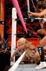 WWE - Hell In A Cell 2015 Digitals