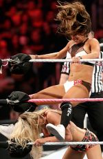 WWE - Hell In A Cell 2015 Digitals