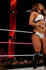 WWE - Hell In A Cell 2015 Digitals