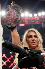 WWE - Hell In A Cell 2015 Digitals