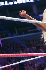 WWE - Hell In A Cell 2015 Digitals