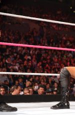 WWE - Hell In A Cell 2015 Digitals