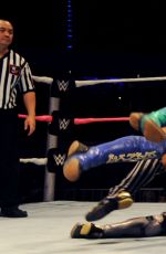 WWE - Merida, Mexico Digitals