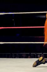 WWE - Merida, Mexico Digitals