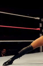 WWE - Merida, Mexico Digitals