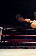 WWE - Merida, Mexico Digitals