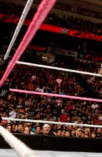 WWE - Raw Digitals 10/19/2015