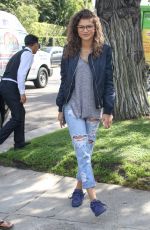 ZENDAYA COLEMAN at Just Jared Fall Fun Day in Los Angeles 10/24/2015