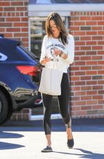 ALESSANDRA AMBROSIO Out and About in Los Angeles 11/05/2015