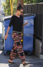 ALESSANDRA AMBROSIO Out and About in Los Angeles 11/07/2015