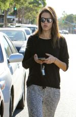 ALESSANDRA AMBROSIO Out and About in Los Angeles 11/19/2015