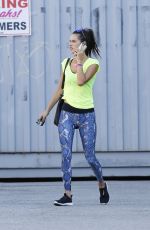 ALESSANDRA AMBROSIO Out in Los Angeles 10/29/2015
