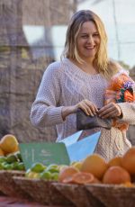 ALICIA SILVERSTONE Shopping at Farmers Market in Studio City 11/08/2015