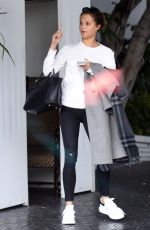 ALICIA VIKANDER at Chateau Marmont Hotel in Los Angeles 11/24/2015