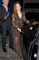 AMY ADAMS Arrives at Craig