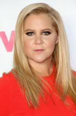 AMY SCHUMER at VH1 Big in 2015 With Entertainment Weekly Awards in West Hollywood 11/15/2015