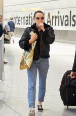 DAISY RIDLEY at Heathrow Airport in London 11/25/2015