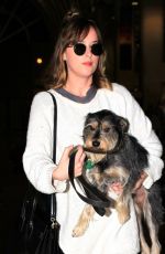 DAKOTA JOHNSON Arrives at Los Angeles International Airport 11/06/2015
