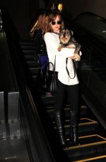 DAKOTA JOHNSON Arrives at Los Angeles International Airport 11/06/2015