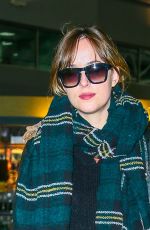 DAKOTA JOHNSON at JFK Airport in New York 11/02/2015