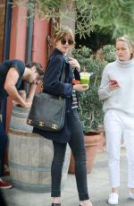 DAKOTA JOHNSON at La Poubelle Bistro in Los Angeles 11/27/2015