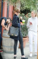 DAKOTA JOHNSON at La Poubelle Bistro in Los Angeles 11/27/2015