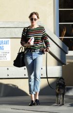 DAKOTA JOHNSON Taking Her Dog to Larchmont Animal Clinic in Los Angeles 11/13/2015