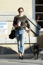 DAKOTA JOHNSON Taking Her Dog to Larchmont Animal Clinic in Los Angeles 11/13/2015