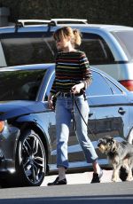 DAKOTA JOHNSON Taking Her Dog to Larchmont Animal Clinic in Los Angeles 11/13/2015