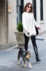 DAKOTA JOHNSON Walks Her Dog Out in West Village 11/06/2015
