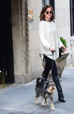 DAKOTA JOHNSON Walks Her Dog Out in West Village 11/06/2015