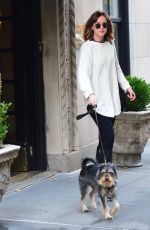 DAKOTA JOHNSON Walks Her Dog Out in West Village 11/06/2015